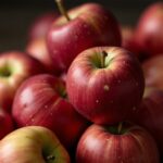 Exploration complète : Tout ce qu'il faut savoir sur la pomme
