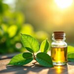Huile essentielle de Niaouli (Melaleuca quinquenervia) : Un trésor d'aromathérapie aux multiples vertus